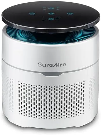 Compact Air Purifier