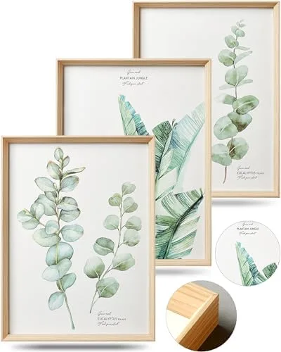 Framed Eucalyptus & Plantain Leaf Prints, Set of 3