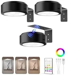 LED Picture Light for Wall Art
