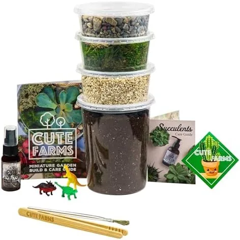 Succulent Terrarium Kit